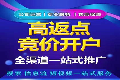 SEM推广代运营：成功案例解析与策略分享