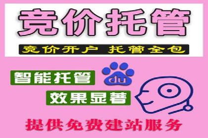 某sem代运营公司助力小企业逆袭大市场